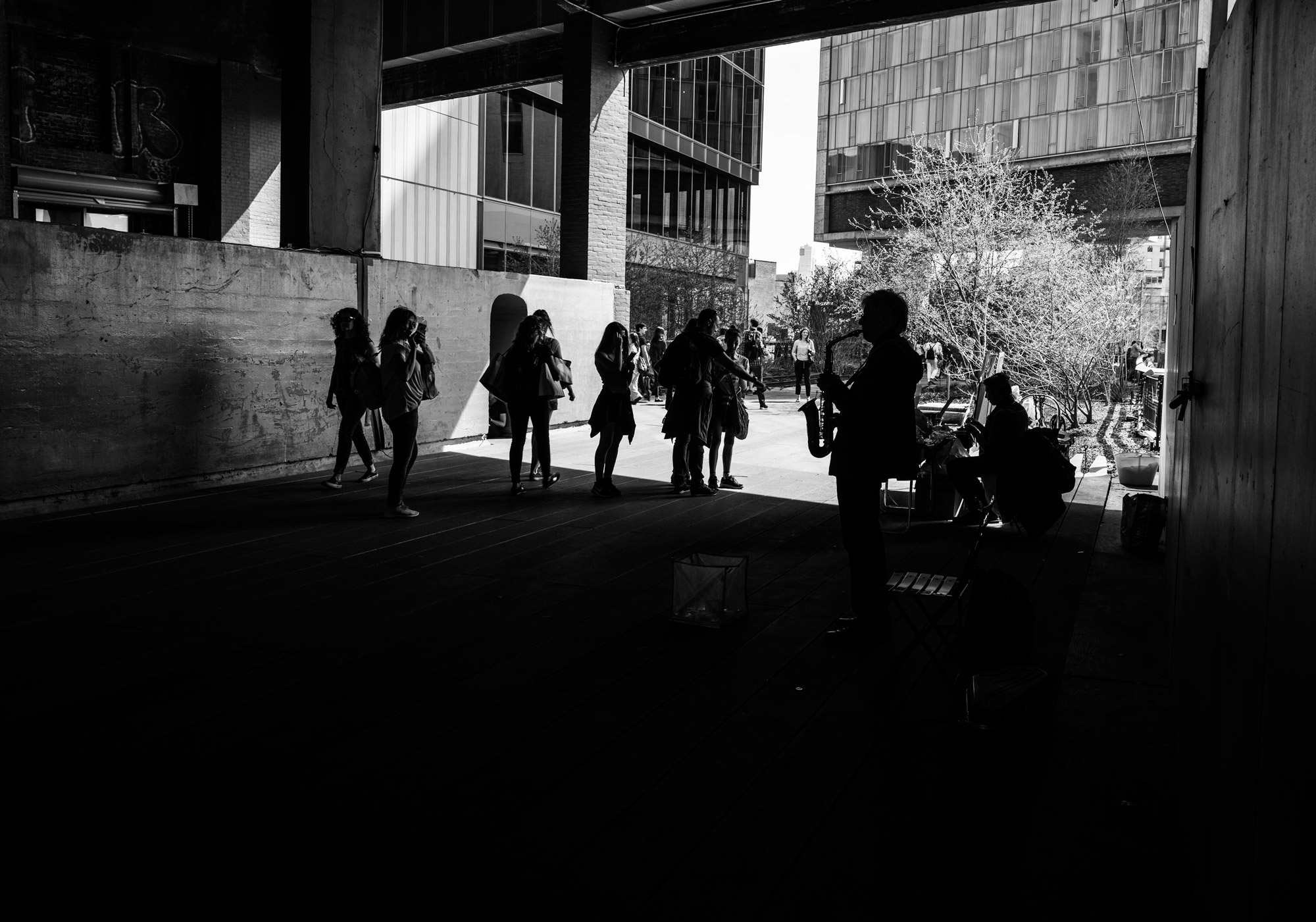New York Impression 214